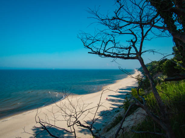 istock Baltic Sea Coast in Usedom, Germany 1339628106