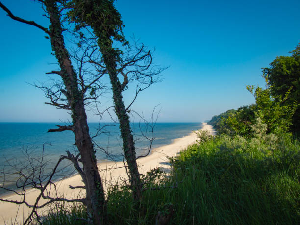 Beautiful Baltic Sea Coast in Usedom, Germany