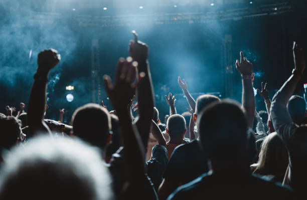 Cheering funs at a music festival Rear view of a large group of unrecognizable people at a concert. Their hands are in the air, clapping. popular music concert photos stock pictures, royalty-free photos & images