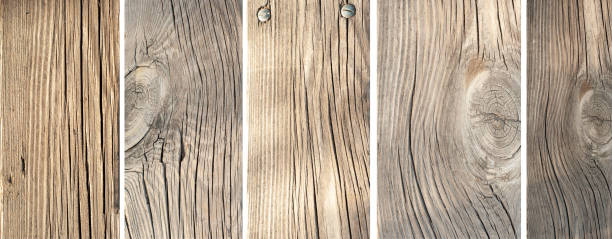 istock Surface eroded by time, the collection of Old woods background or texture. 1339632479