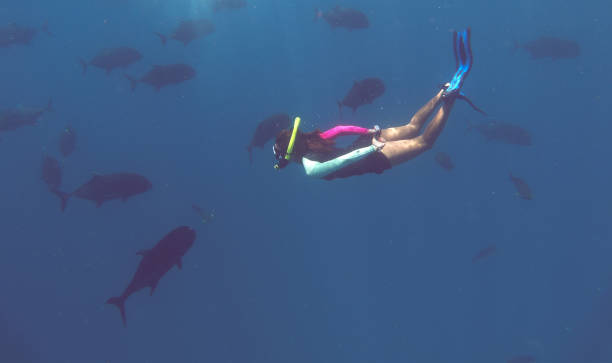 istock Snorkeling under water and watching sea creatures in Maldives 1339637105