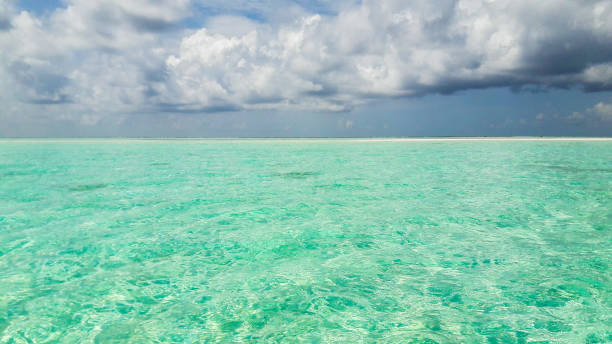 istock Sea view from tropical beach with blue sky in Maldives 1339637175