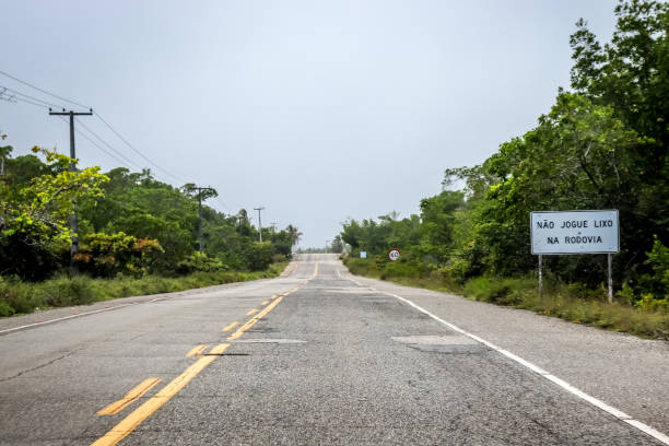 istock Highway SE-100 in Estancia 1339643016