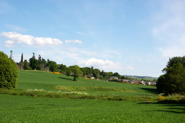 istock Maryburgh village and the memory trees 1339645133