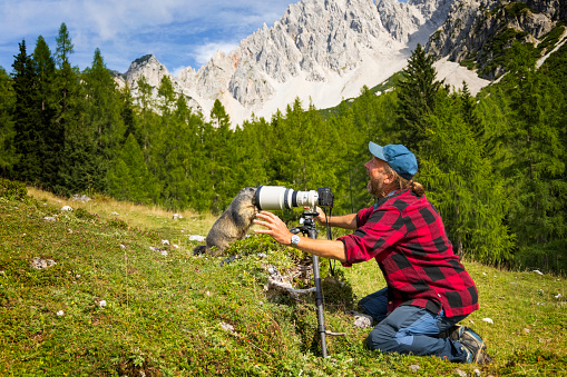 Wildlife photographer is startled by a curious Marmot looking into the camera