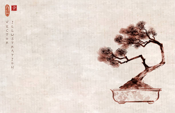 ภาพประกอบสต็อกที่เกี่ยวกับ “ต้นสนบอนไซบนพื้นหลังวินเทจ ภาพวาดหมึกโอเรียนเต็ลแบบดั้งเดิม sumi-e, u-sin, go-hua อักษรเฮโรกลีฟ - ความเ� - bonsai tree”