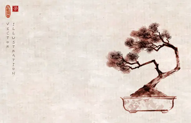 Vector illustration of Bonsai pine tree on vintage background. Traditional oriental ink painting sumi-e, u-sin, go-hua. Hieroglyph - prosperity