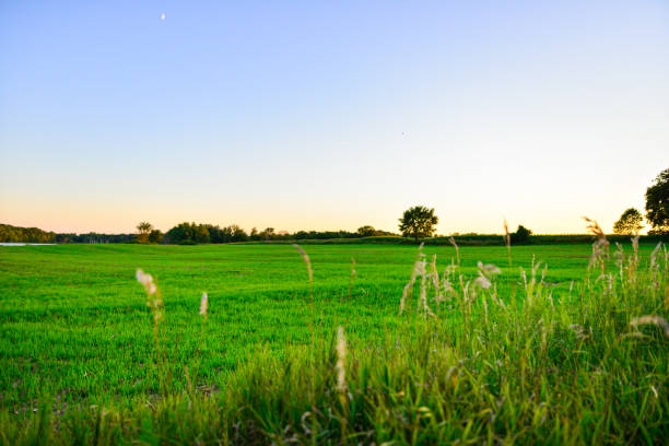 istock Rural Farmland Sunset in Midwest 1339657401