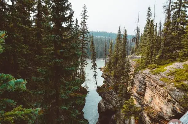 Photo of Athabasca falls