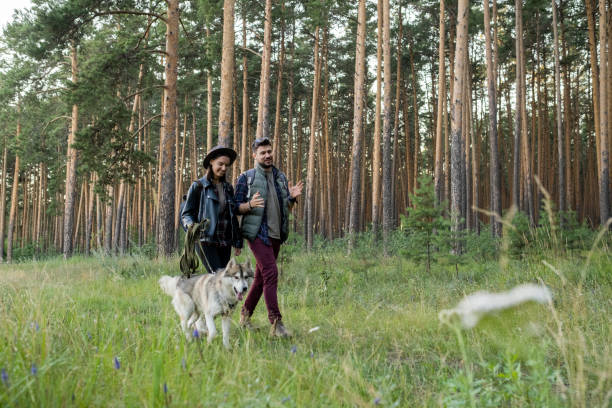 istock Happy young man and woman having chat while moving along footpath 1339665949