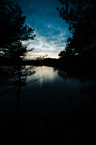 Outdoors scenics of Norway: forest landscape at sunset