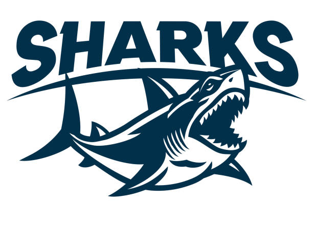 Great White Shark Mascot Logo vector of Great White Shark Mascot Logo great white shark stock illustrations