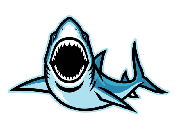 ilustraciones, imágenes clip art, dibujos animados e iconos de stock de mascota de tiburón atacante enojada - animal jaw bone