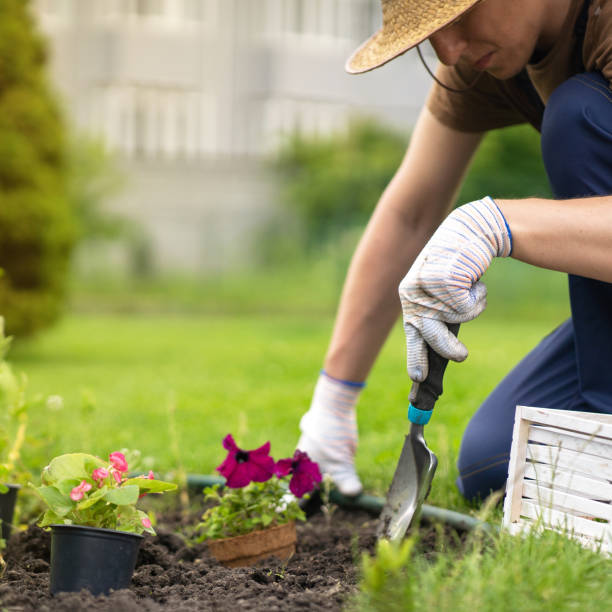 istock A young man in a straw hat and hands in gloves is engaged in gardening work 1339673021