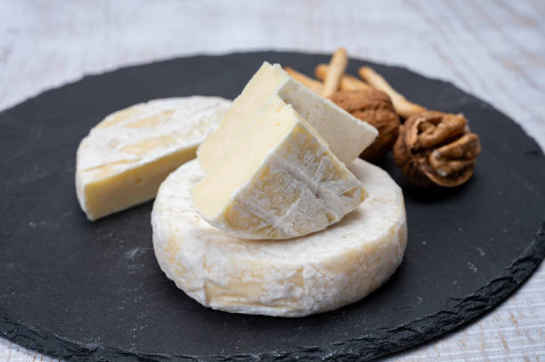 istock Cheese collection, fresh white soft cow cheese with mold from Swiss 1339673331