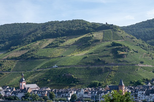 View on Mosel river, hills with vineyards and old town Zell, Germany, Germany