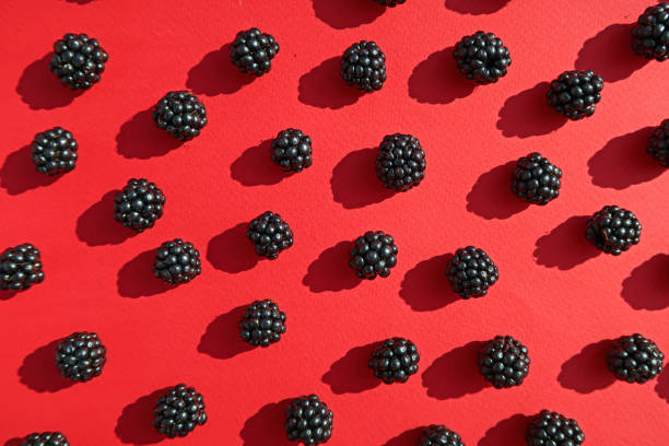 istock Freshly picked or forage blackberries. On red background. In an abstract pop art style arrangement. 1339675300