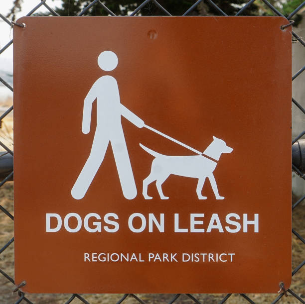 istock DOGS ON LEASH sign 1339675315