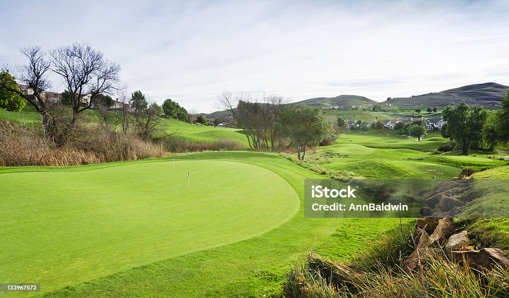 Campo da Golf in California - Foto stock royalty-free di Albero