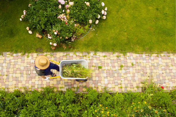 istock A professional gardener is carrying a wheelbarrow on a garden path 1339676113