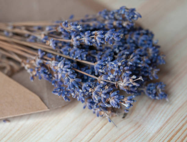 istock Bright lavander on wooden background with free space 1339679347