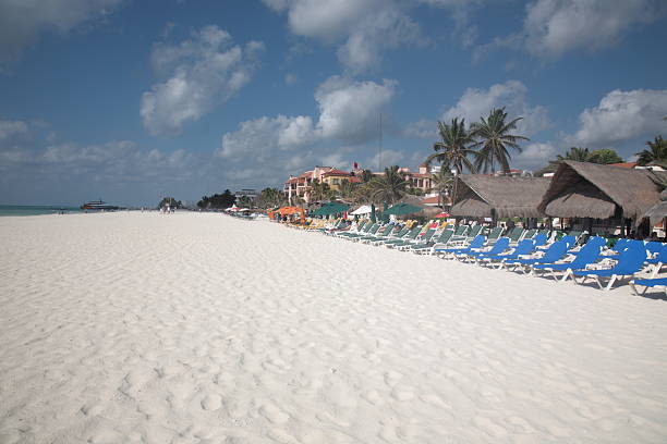 istock Carribean beach at Playa del carmen, Mexico 133968125