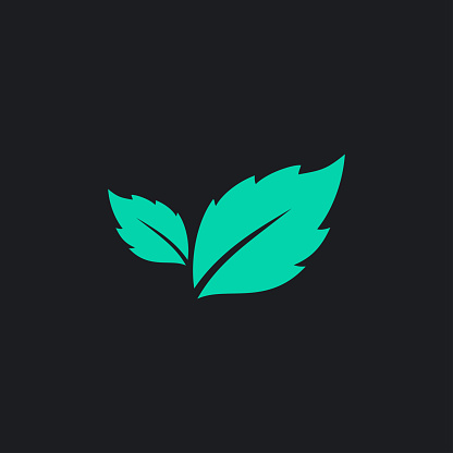 Mint Leaf Icon Vector Logo Template