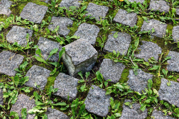 Old damaged paving stones in the garden, paved with square granite blocks and growing grass and moss between stones