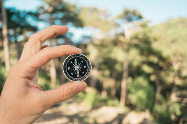 istock Man holds a compass in his hand in the forest. 1339682347