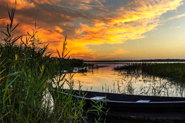 istock Old Boat Docked on a Lake During Golden Sunset 1339682684