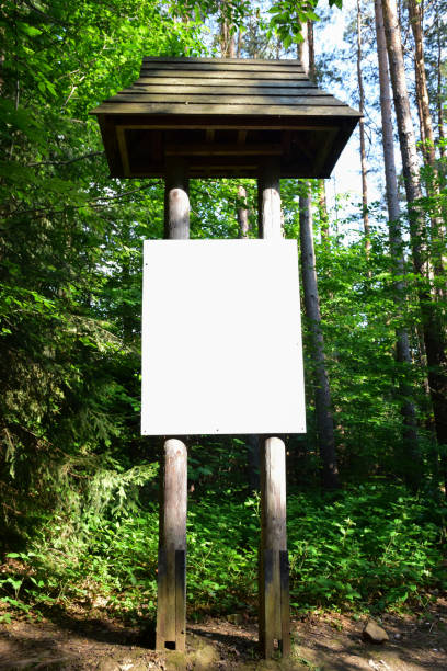 istock There is a large wooden signboard in the forest with an empty place to insert 1339686018