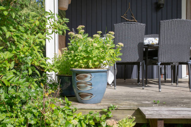 istock The beautiful Danish summer house interior 1339686793