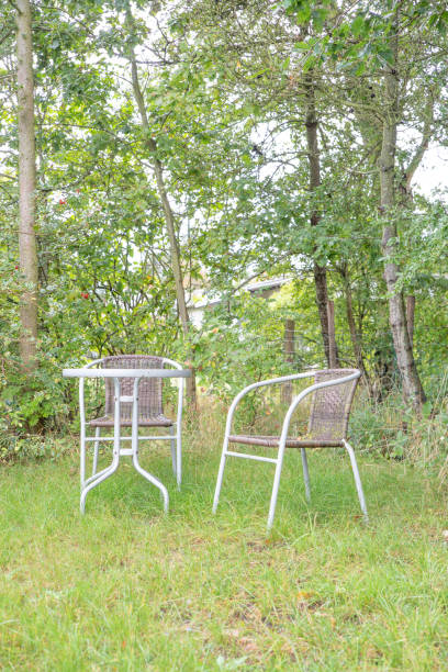 istock The beautiful Danish summer house interior 1339686854