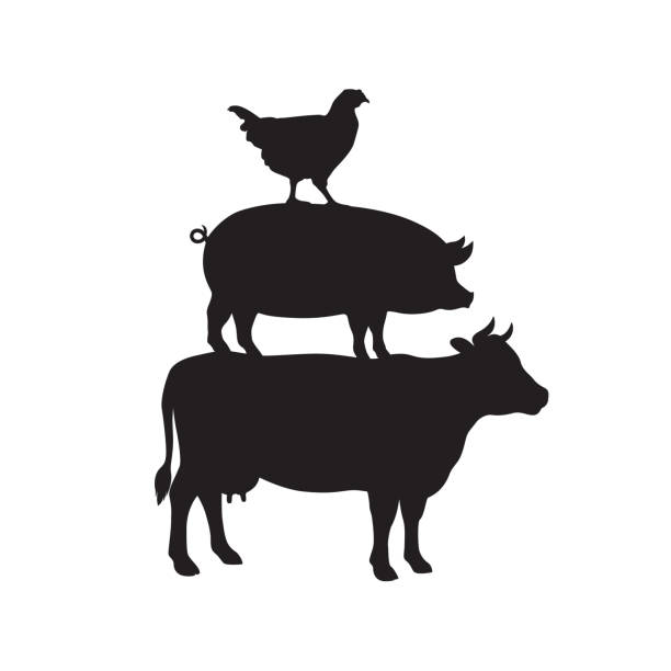 illustrazioni stock, clip art, cartoni animati e icone di tendenza di animali - pig silhouette animal livestock