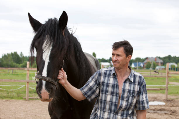 istock A man stands with a horse on a ranch on a sunny day, 1339695685