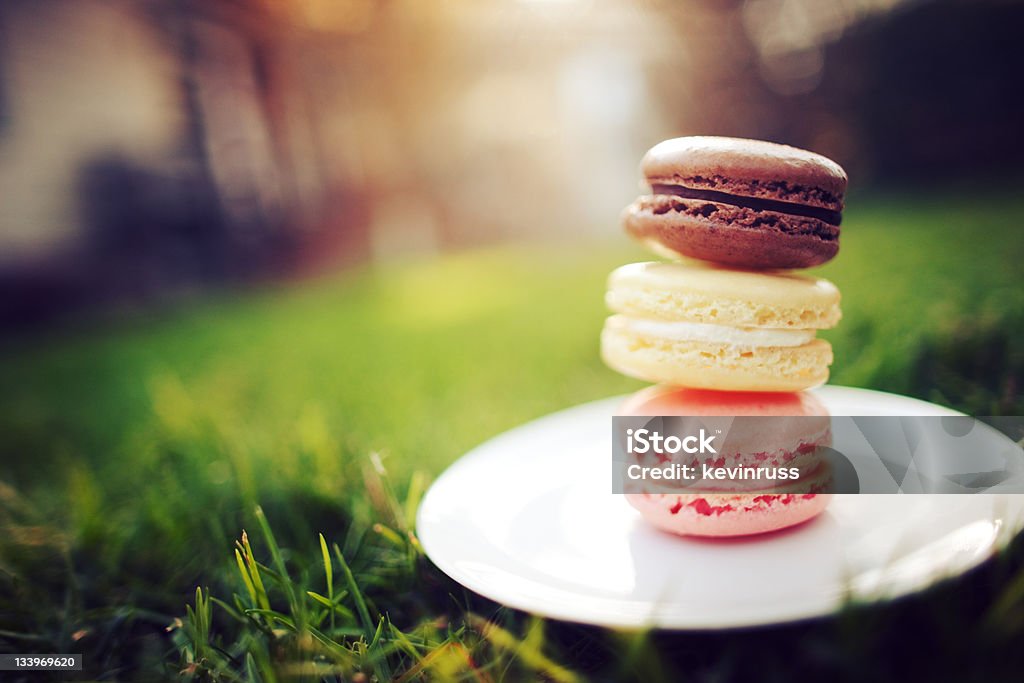 Hazy Summer Macaron Stack - Royalty-free Ev bahçesi Stok görsel Hazy Summer Macaron Stack - Royalty-free Ev bahçesi Stok görsel