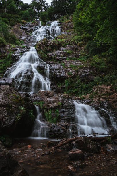 istock todtnauer waterfalls of the black forest (Schwarzwald) 1339701345