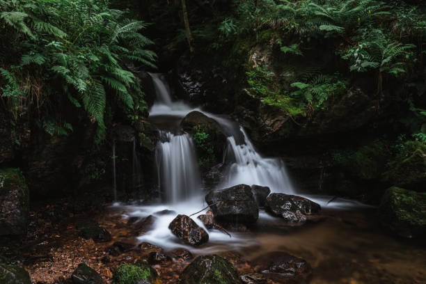 istock todtnauer waterfalls of the black forest (Schwarzwald) 1339705930