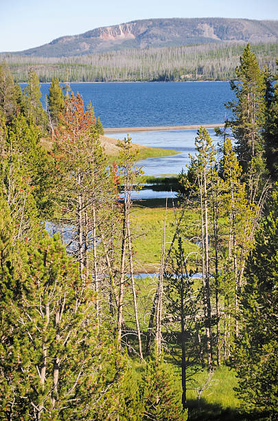 istock Yellowstone National Park 133970946