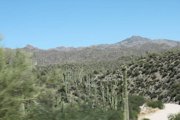 istock Driving Interstate 17 North in Arizona 1339709810