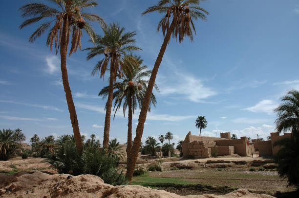 istock Monument of Tafilalet in Morocco 1339712347