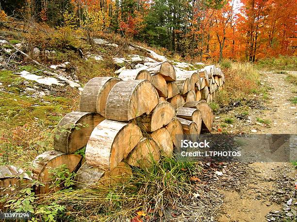 Ein Haufen Von Brennholz Im Herbst Stockfoto und mehr Bilder von Baum - Baum, Norden, Ontario - Kanada