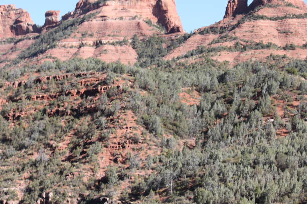 sedona arizona rocce rosse - schnebly hill formation foto e immagini stock