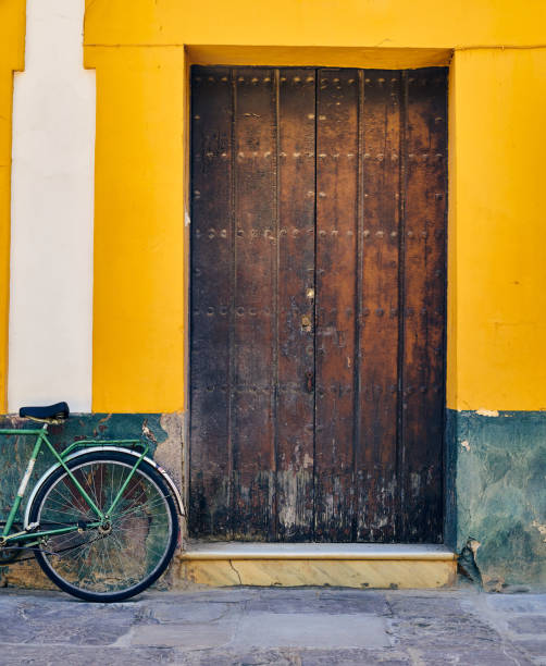 Old bicycle parked by an antique door