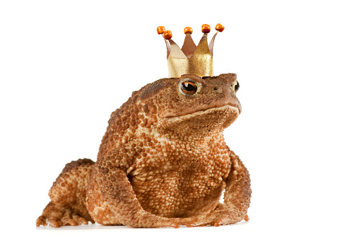 Frog with Crown