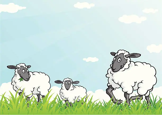 Vector illustration of Sheep Graze