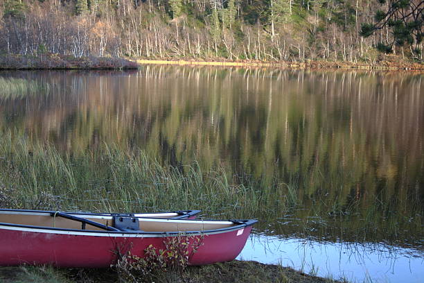 早速の魚 - fishing nautical vessel lake rowboat ストックフォトと画像