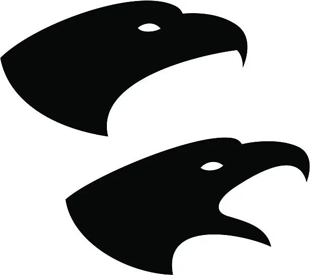 Vector illustration of Eagles