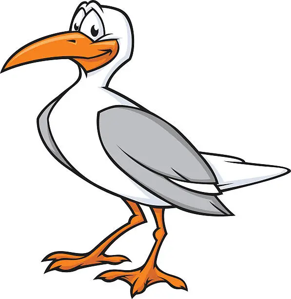 Vector illustration of An illustration of a seagull on white