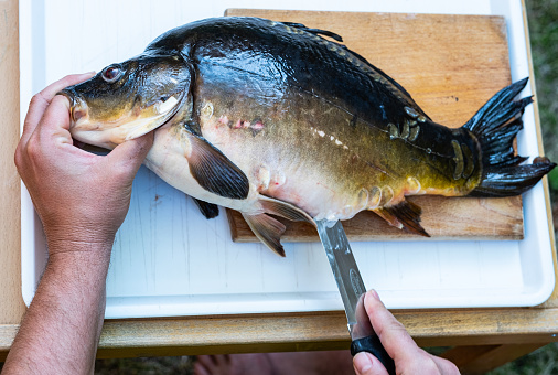 An Asian senior woman is cleaning raw fish in the kitchen.